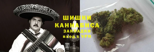 крисы Армянск