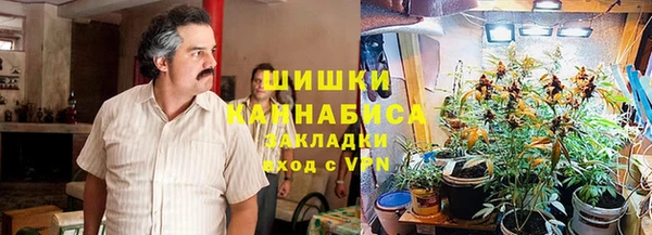 крисы Армянск