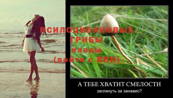крисы Армянск