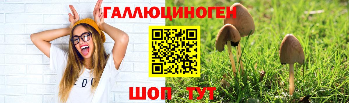 Галлюциногенные грибы мицелий  Вход с VPN  Мытищи 