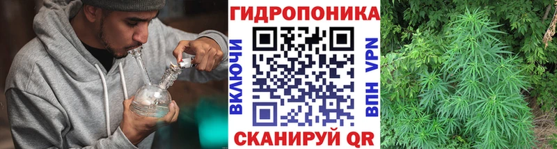 Канабис SATIVA & INDICA  Мытищи 